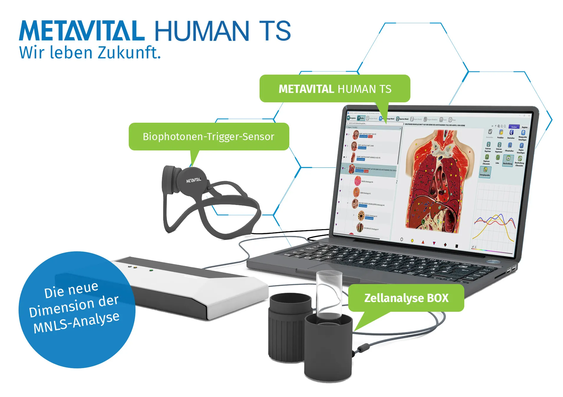 Infografik zu METAVITAL HUMAN TS mit dem Leitsatz „Wir leben Zukunft.“ – ein Laptop mit der Analyse-Software, daneben der Biophotonen-Trigger-Sensor als Kopfbügel und die Zellanalyse BOX, jeweils mit grünem Schild beschriftet